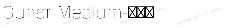 Gunar Medium字体转换
